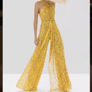 Alexis Janina Jumpsuit
